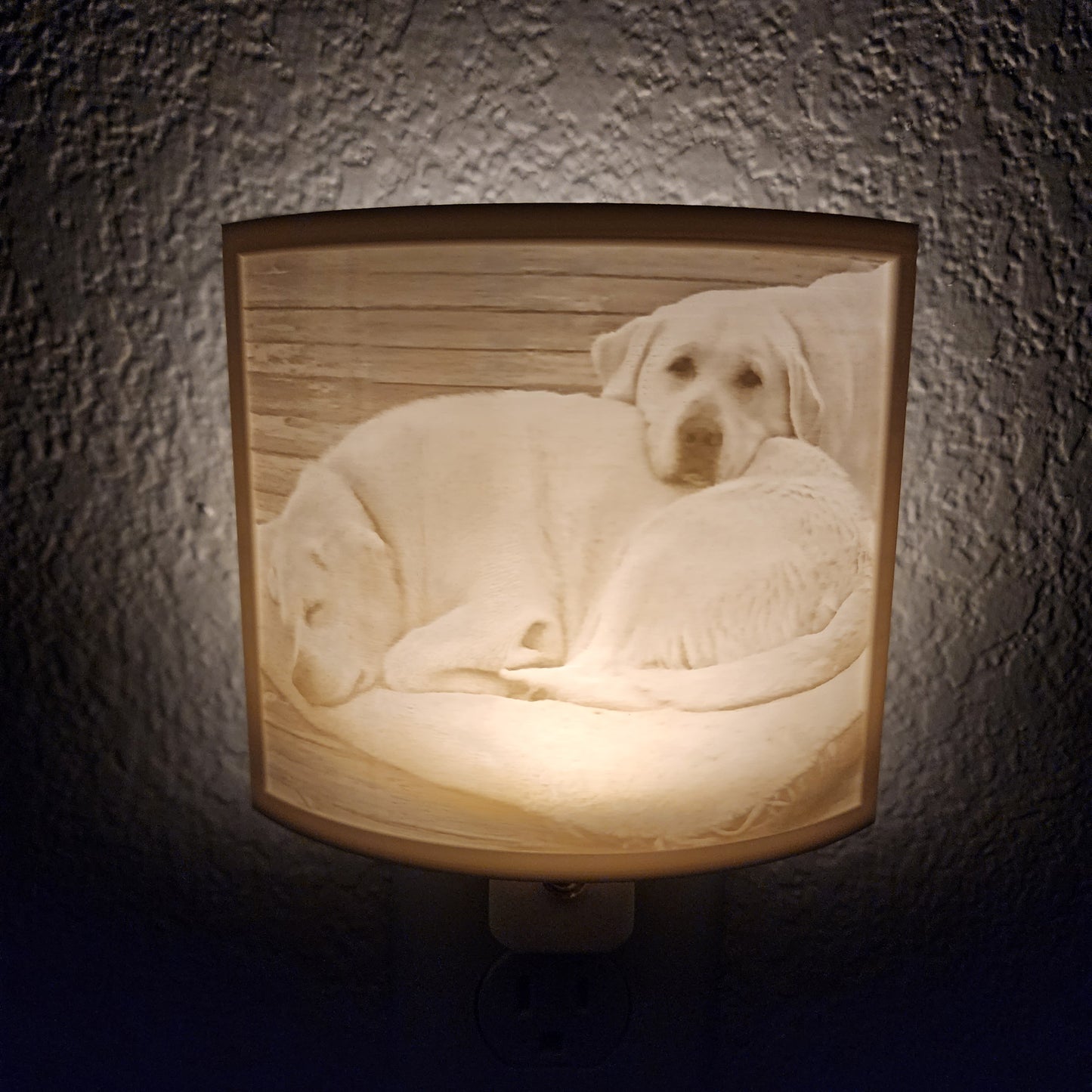 Custom Pet Photo Night Light