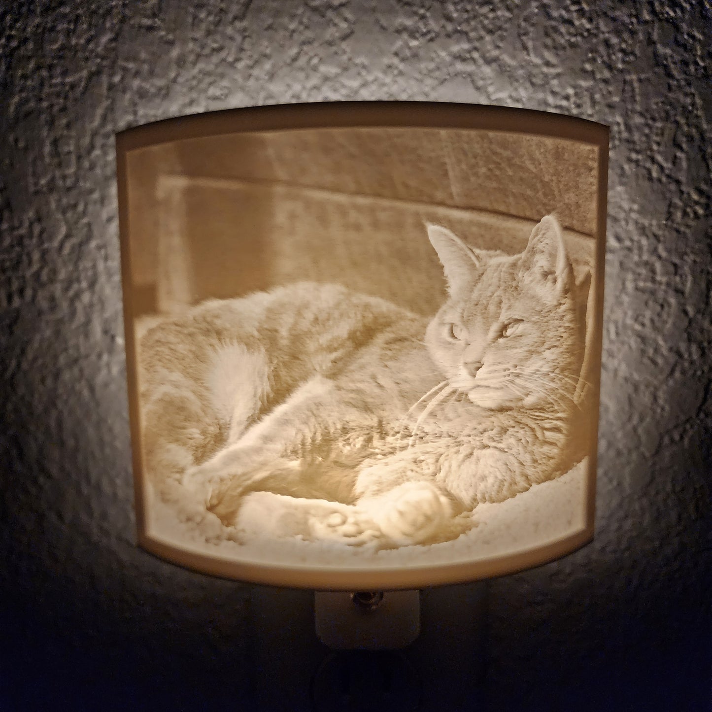 Custom Pet Photo Night Light