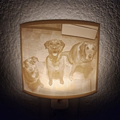 Custom Pet Photo Night Light