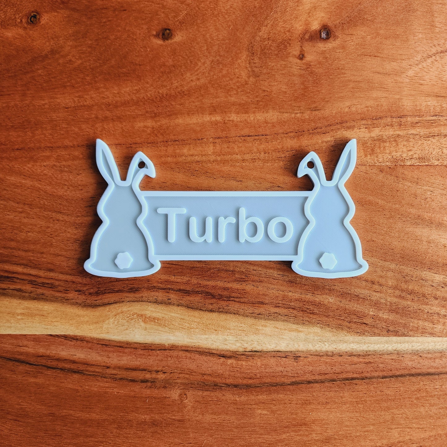 Personalized Rabbit Cage Sign | Custom Bunny Crate Nameplate