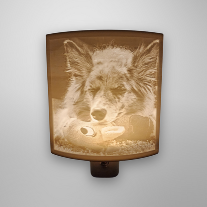 Custom Pet Photo Night Light