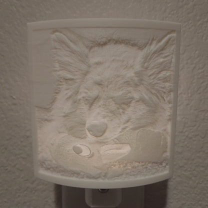 Custom Pet Photo Night Light