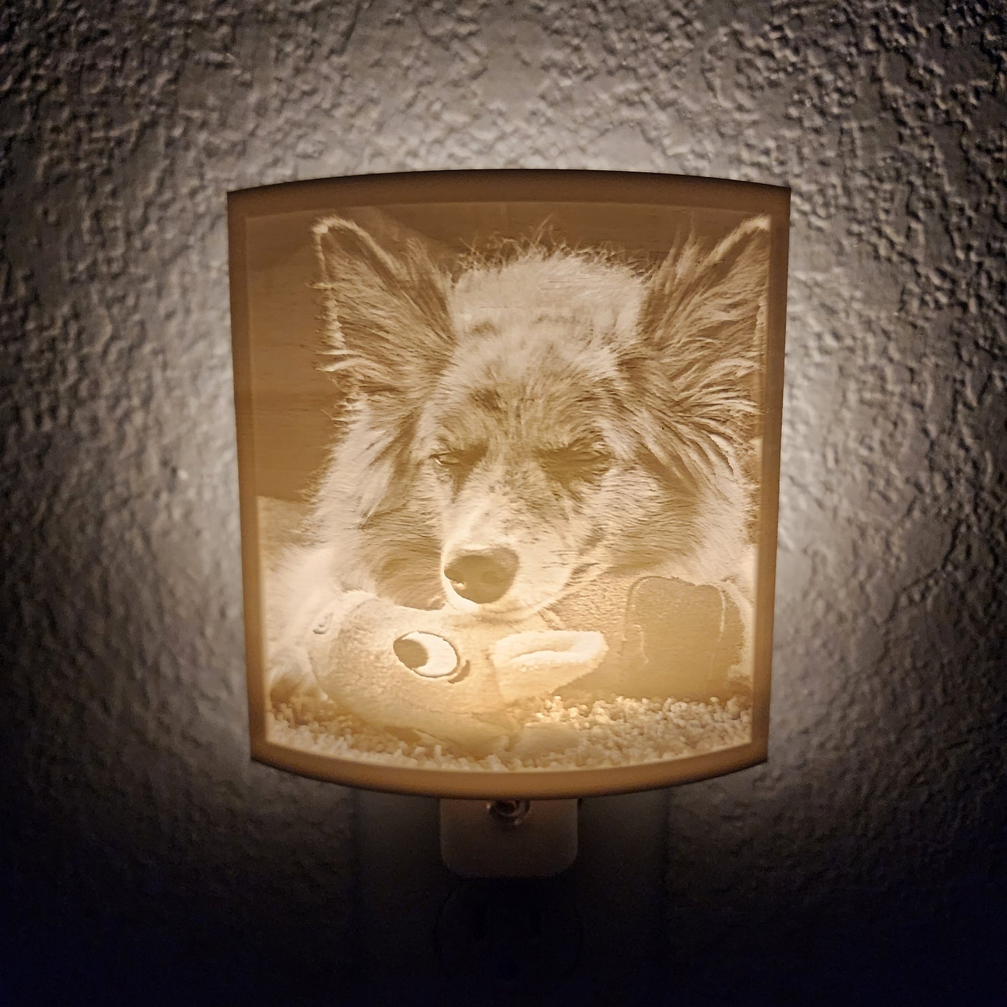 Custom Pet Photo Night Light